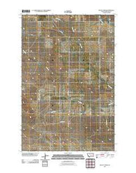 Beauty Creek Montana Historical topographic map, 1:24000 scale, 7.5 X 7.5 Minute, Year 2011