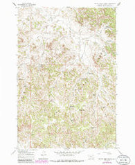 Beaver Creek School Montana Historical topographic map, 1:24000 scale, 7.5 X 7.5 Minute, Year 1966