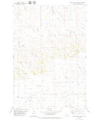 Beaver Flats North Montana Historical topographic map, 1:24000 scale, 7.5 X 7.5 Minute, Year 1979