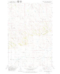 Beaver Flats North Montana Historical topographic map, 1:24000 scale, 7.5 X 7.5 Minute, Year 1979