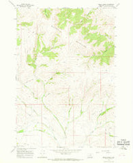 Beech Creek Montana Historical topographic map, 1:24000 scale, 7.5 X 7.5 Minute, Year 1965