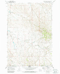 Belle Creek SW Montana Historical topographic map, 1:24000 scale, 7.5 X 7.5 Minute, Year 1970