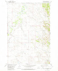 Belltower Montana Historical topographic map, 1:24000 scale, 7.5 X 7.5 Minute, Year 1980