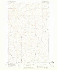 Berry School Montana Historical topographic map, 1:24000 scale, 7.5 X 7.5 Minute, Year 1965