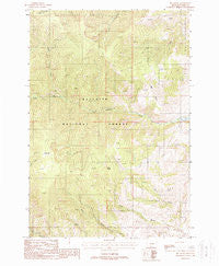 Big Draw Montana Historical topographic map, 1:24000 scale, 7.5 X 7.5 Minute, Year 1988