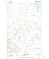 Big Flat West Montana Historical topographic map, 1:24000 scale, 7.5 X 7.5 Minute, Year 1971
