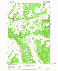 Big Ice Cave Montana Historical topographic map, 1:24000 scale, 7.5 X 7.5 Minute, Year 1964