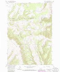 Big Ice Cave Montana Historical topographic map, 1:24000 scale, 7.5 X 7.5 Minute, Year 1964