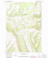 Big Ice Cave Montana Historical topographic map, 1:24000 scale, 7.5 X 7.5 Minute, Year 1964