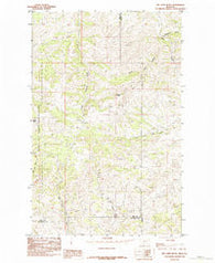 Big John Butte Montana Historical topographic map, 1:24000 scale, 7.5 X 7.5 Minute, Year 1984
