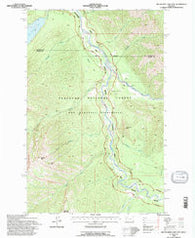 Big Salmon Lake East Montana Historical topographic map, 1:24000 scale, 7.5 X 7.5 Minute, Year 1994
