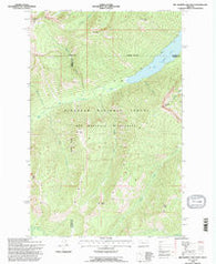 Big Salmon Lake West Montana Historical topographic map, 1:24000 scale, 7.5 X 7.5 Minute, Year 1994