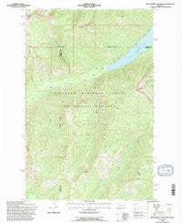 Big Salmon Lake West Montana Historical topographic map, 1:24000 scale, 7.5 X 7.5 Minute, Year 1994