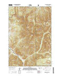 Big Horn Peak Montana Current topographic map, 1:24000 scale, 7.5 X 7.5 Minute, Year 2014
