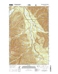 Big Salmon Lake East Montana Current topographic map, 1:24000 scale, 7.5 X 7.5 Minute, Year 2014