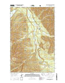 Big Salmon Lake East Montana Current topographic map, 1:24000 scale, 7.5 X 7.5 Minute, Year 2014