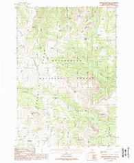 Bighorn Mountain Montana Historical topographic map, 1:24000 scale, 7.5 X 7.5 Minute, Year 1988