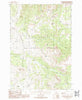 Bighorn Mountain Montana Historical topographic map, 1:24000 scale, 7.5 X 7.5 Minute, Year 1988