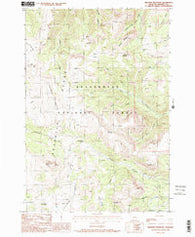Bighorn Mountain Montana Historical topographic map, 1:24000 scale, 7.5 X 7.5 Minute, Year 1988
