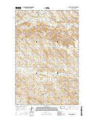 Billick Coulee Montana Current topographic map, 1:24000 scale, 7.5 X 7.5 Minute, Year 2014