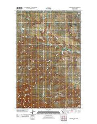 Bingham Lake Montana Historical topographic map, 1:24000 scale, 7.5 X 7.5 Minute, Year 2011