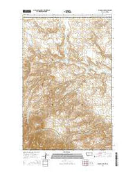 Bingham Lake Montana Current topographic map, 1:24000 scale, 7.5 X 7.5 Minute, Year 2014