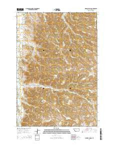 Birdseye Spring Montana Current topographic map, 1:24000 scale, 7.5 X 7.5 Minute, Year 2014