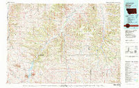 Birney Montana Historical topographic map, 1:100000 scale, 30 X 60 Minute, Year 1980