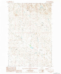 Biscuit Butte Montana Historical topographic map, 1:24000 scale, 7.5 X 7.5 Minute, Year 1983