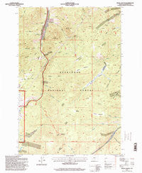 Bison Canyon Montana Historical topographic map, 1:24000 scale, 7.5 X 7.5 Minute, Year 1996