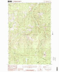 Bison Mountain Montana Historical topographic map, 1:24000 scale, 7.5 X 7.5 Minute, Year 1985