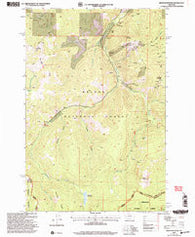 Bison Mountain Montana Historical topographic map, 1:24000 scale, 7.5 X 7.5 Minute, Year 2001