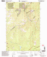 Bison Mountain Montana Historical topographic map, 1:24000 scale, 7.5 X 7.5 Minute, Year 2001