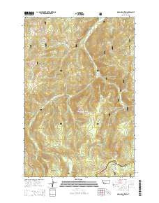 Bison Mountain Montana Current topographic map, 1:24000 scale, 7.5 X 7.5 Minute, Year 2014
