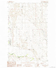 Bjornberg Bridge Montana Historical topographic map, 1:24000 scale, 7.5 X 7.5 Minute, Year 1984