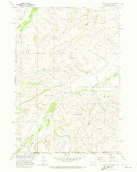 Black Gulch Montana Historical topographic map, 1:24000 scale, 7.5 X 7.5 Minute, Year 1969