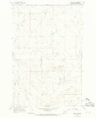 Black Hills Montana Historical topographic map, 1:24000 scale, 7.5 X 7.5 Minute, Year 1965