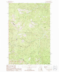 Black Peak Montana Historical topographic map, 1:24000 scale, 7.5 X 7.5 Minute, Year 1988