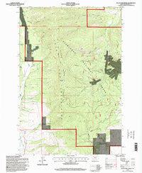 Black Pine Ridge Montana Historical topographic map, 1:24000 scale, 7.5 X 7.5 Minute, Year 1996