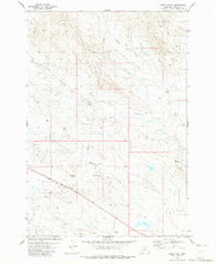Black Point Montana Historical topographic map, 1:24000 scale, 7.5 X 7.5 Minute, Year 1982