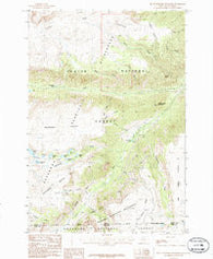 Black Pyramid Mountain Montana Historical topographic map, 1:24000 scale, 7.5 X 7.5 Minute, Year 1986