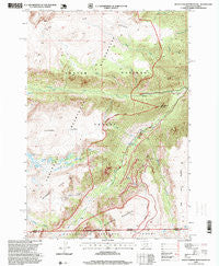 Black Pyramid Mountain Montana Historical topographic map, 1:24000 scale, 7.5 X 7.5 Minute, Year 1996