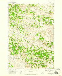 Black Spring Montana Historical topographic map, 1:24000 scale, 7.5 X 7.5 Minute, Year 1958