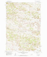 Black Spring Montana Historical topographic map, 1:24000 scale, 7.5 X 7.5 Minute, Year 1958