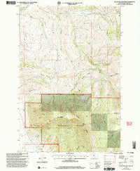 Blacktail Mountain Montana Historical topographic map, 1:24000 scale, 7.5 X 7.5 Minute, Year 2000