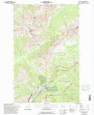 Blacktail Montana Historical topographic map, 1:24000 scale, 7.5 X 7.5 Minute, Year 1994