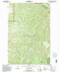Blankenbaker Flats Montana Historical topographic map, 1:24000 scale, 7.5 X 7.5 Minute, Year 1995