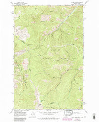 Bloom Peak Montana Historical topographic map, 1:24000 scale, 7.5 X 7.5 Minute, Year 1966