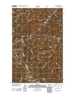 Bloom Peak Montana Historical topographic map, 1:24000 scale, 7.5 X 7.5 Minute, Year 2011