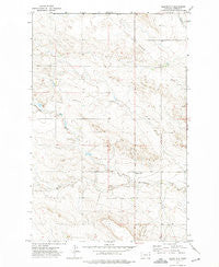Bloomfield Montana Historical topographic map, 1:24000 scale, 7.5 X 7.5 Minute, Year 1972